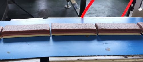 Últimas soluções da empresa sobre História de sucesso: Entrega da primeira barra de proteína de chocolate de três camadas da Argentina para Carles