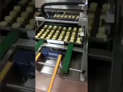 vídeo de funcionamento da máquina de escova de ovos