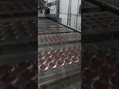 Linha de produção de chocolate