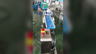 linha de produção de bola de proteína de aveia