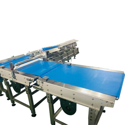 Bom preço Máquina de embalagem de fluxo de alimentos Linha de triagem automática Equipamento de embalagem on-line